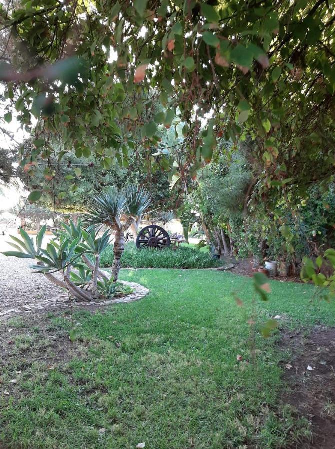 Auberge de jeunesse Rancho El Campanario En La Ruta Del Vino à Valle de Guadalupe Extérieur photo
