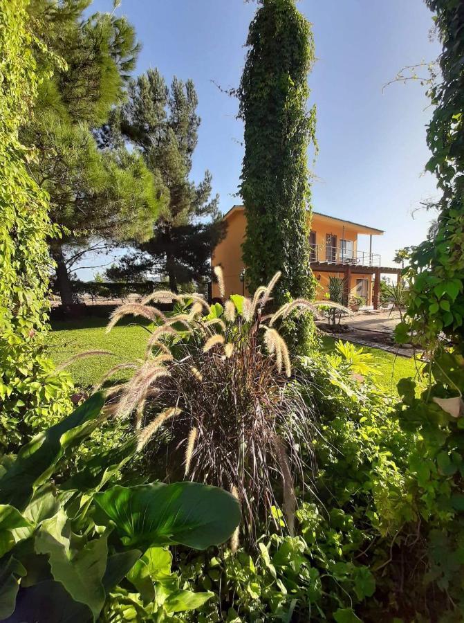 Auberge de jeunesse Rancho El Campanario En La Ruta Del Vino à Valle de Guadalupe Extérieur photo
