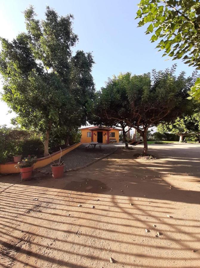 Auberge de jeunesse Rancho El Campanario En La Ruta Del Vino à Valle de Guadalupe Extérieur photo